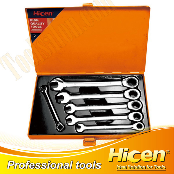 6PCS Gear Wrench Set