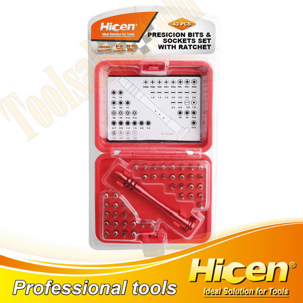 43 PCS Ratcheting T-Driver Set