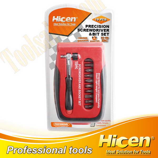 19 PCS Precision Bits And Screwdriver Set