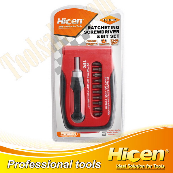 11 PCS Precision Bits And Screwdriver Set