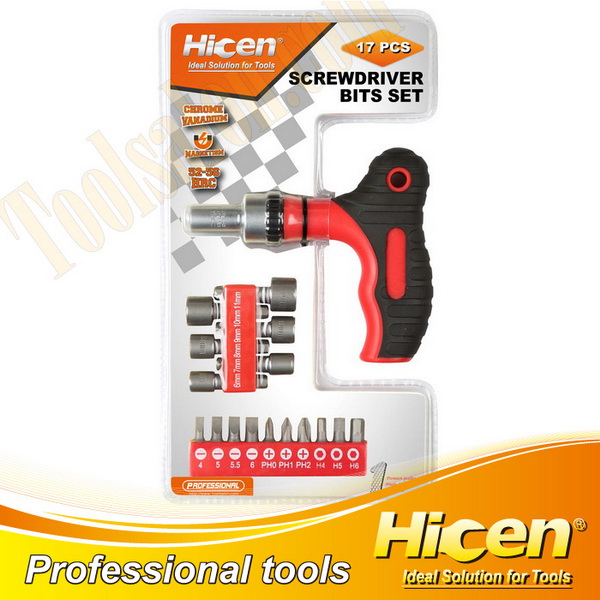 17PCS T-type Handle Screwdriver Bits And Socket Set