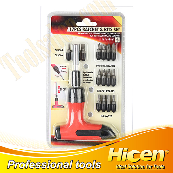 17 PCS Screwdriver Bits And Ratchet Handle Set