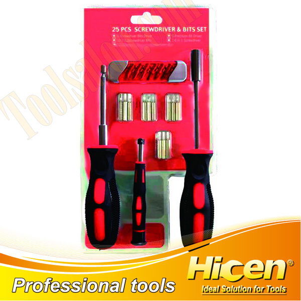25 PCS Screwdriver Set