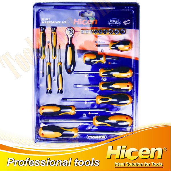 22 PCS Screwdriver Set