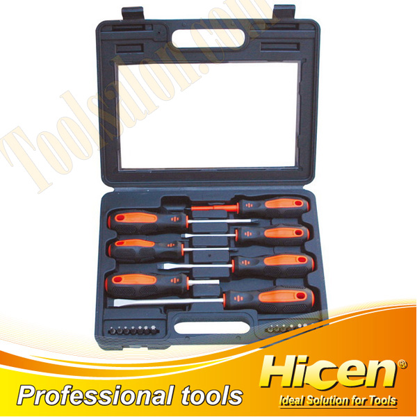 21 Screwdriver And Bits Set