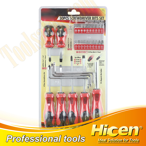 30 PCS Combined Screwdriver Bits And Hexagon Keys Set