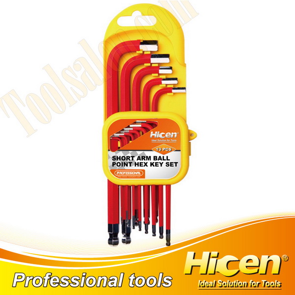 13pcs Long Arm Torx Key Set