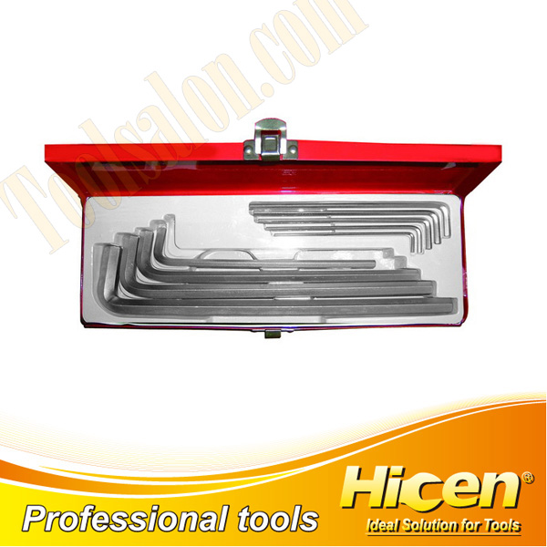 10pcs Hex Key Set In Metal Case