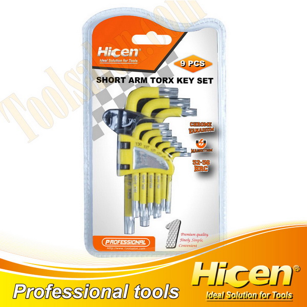 9pcs Short Arm Torx Hex Key Set