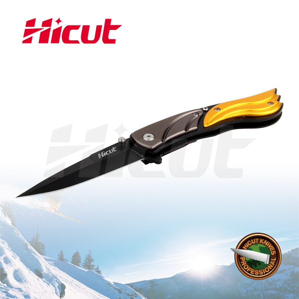 Black Coating Blade Liner Lock Folding Knife