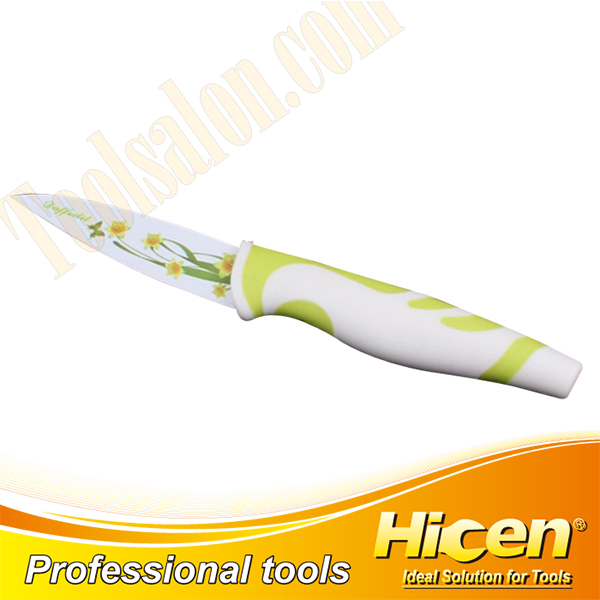 Color Painting Fruit Peeling Knife