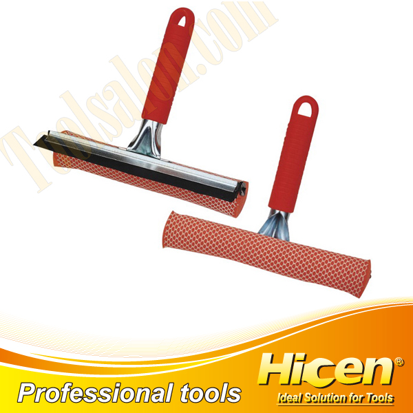 Squeegee and Sponge